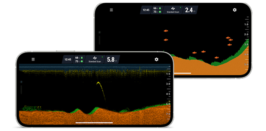 Sonar display modes